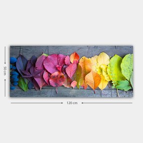Vászonkép, 50×120 cm – TR451ERN1380