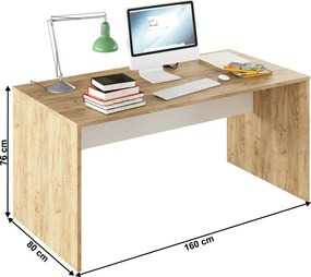 Íróasztal, artisan tölgy/fehér, RIOMA TYP 16