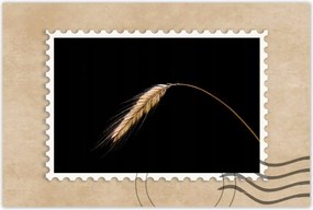 Poszter 60x40 Kalász rozs gabona arany