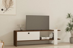 TV szekrény Gaye - Walnut, White