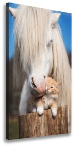 Vászonkép Fehér ló egy macska ocv-119704744
