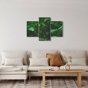 Kép - Pálmalevél (90x60 cm)