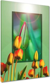 Vászonkép 70x100 Tulipánok Virágok