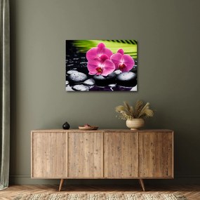Kép - Rózsaszín orchidea pálmalevéllel (70x50 cm)