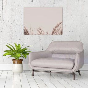 Üveg kép - Szárított fű (70x50 cm)