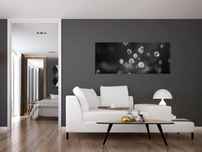 Kép - Pamutfű a réten (120x50 cm)