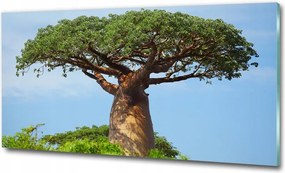 Fotó kép fotó edzett üveg Fű 125x50