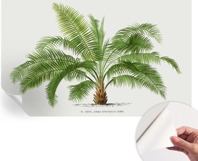 Öntapadós Fali Fotótapéta Hálószobába Csillogó pálmafa 416x254 cm