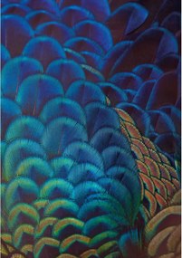 Dekoria Vászonkép Multicolor Feathers 70x10