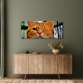 Egy pislogó macska képe (120x50 cm)