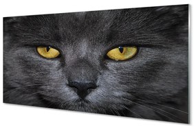 Üvegképek Fekete macska 100x50 cm