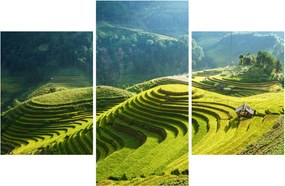 Kép - Rice Terraces koncert (90x60 cm)