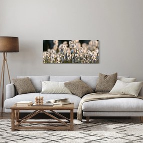 Kép - Keskenylevelű gyapjúsás (120x50 cm)
