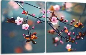 7in1 2x Üveg Tűzhelyvédő Főzőlap 40x52 Virágok