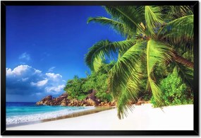 Poszter keretben 60x40 Trópusok Tájkép Pálmafák