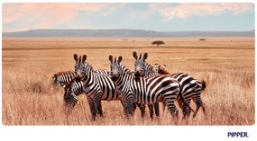 PIPPER. Öntapadós textiltapéta "Zebrák Afrikában"
