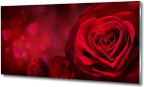 Fotó kép edzett üveg pipacs mező 100x70