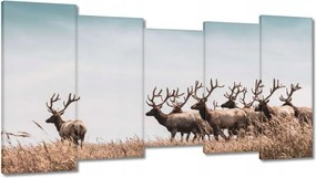 Vászonkép 150x80 Szarvascsorda Szarvak