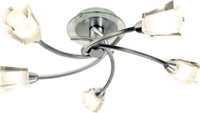Dar Lighting AUSTIN AUS0550 Plafonlámpa 5x40W/G9 IP20