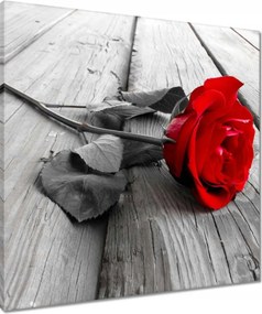 Vászonkép 60x60 Rózsa a hídon