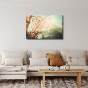 Kép - Növények eső után (90x60 cm)
