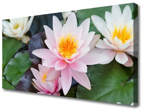 Vászonkép nyomtatás Virág növény természet 125x50 cm