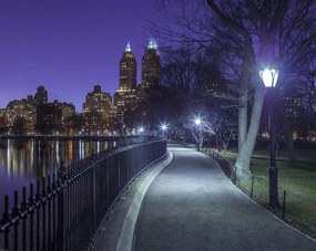 Poszter 76x60,5cm Central Park, Assaf Frank