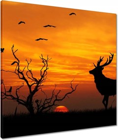 Vászonkép 60x60 Szarvas és naplemente