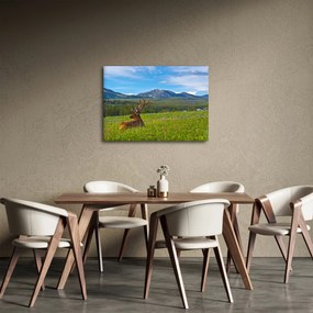 Kép - Szarvas a réten (70x50 cm)