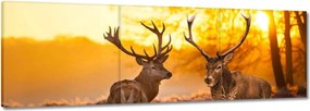 Vászonkép 150x50 Szarvasok a reggelben