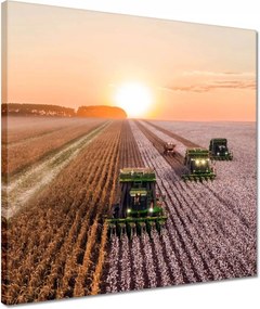 Vászonkép 40x40 Aratás Mezőgazdaság Kombájn