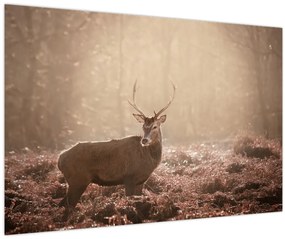 Kép - Szarvas az erdőben (90x60 cm)