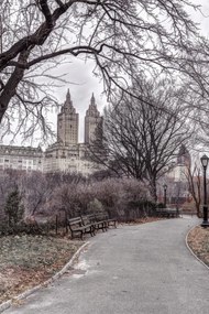 Poszter 30x45cm Ösvény a központi parkon át 2, Assaf Frank