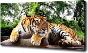 Vászonkép Tigris a sziklán 120x60 cm