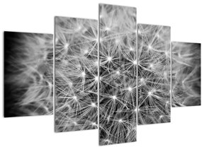 Szürke pitypang képe (150x105 cm)