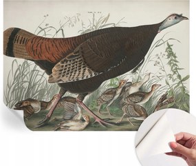 Design fali fotótapéta öntapadós természetes harmónia 312x219