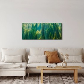 Kép - fenyőerdő (120x50 cm)