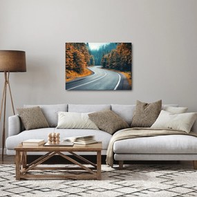 Kép - Kanyargós út (70x50 cm)