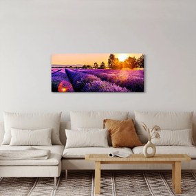 A levendula mező képe (120x50 cm)