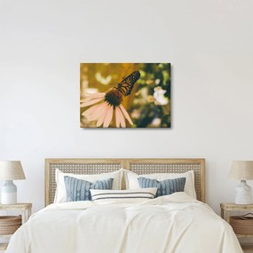 Pillangó képe a virágon (70x50 cm)