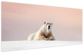 Kép - Jegesmedve (120x50 cm)