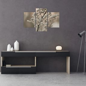 Kép - Növény fagyban (90x60 cm)