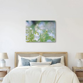 Üveg kép - Finom virágok (70x50 cm)