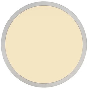 Globo 41562-24N - LED Dimmelhető fürdőszobai lámpa SAPANA LED/24W/230V IP44