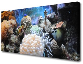 Vászonkép Barrier Reef Nature 100x50 cm