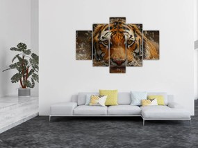 Kép - Portré egy tigris a vízben (150x105 cm)