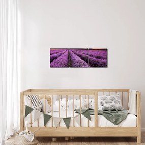 Kép - Levendulamező naplementében (órával) (90x30 cm)