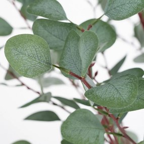 Eukaliptusz műnövény (magasság 180 cm) Eucalyptus – Ixia