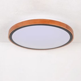 Globo 41764-24 - LED Mennyezeti lámpa BRUNO LED/24W/230V 437mm 3000/4500/6000K