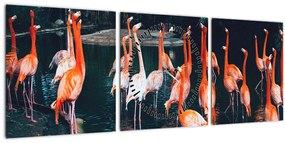 Flamingók csordája (órával) (90x30 cm)